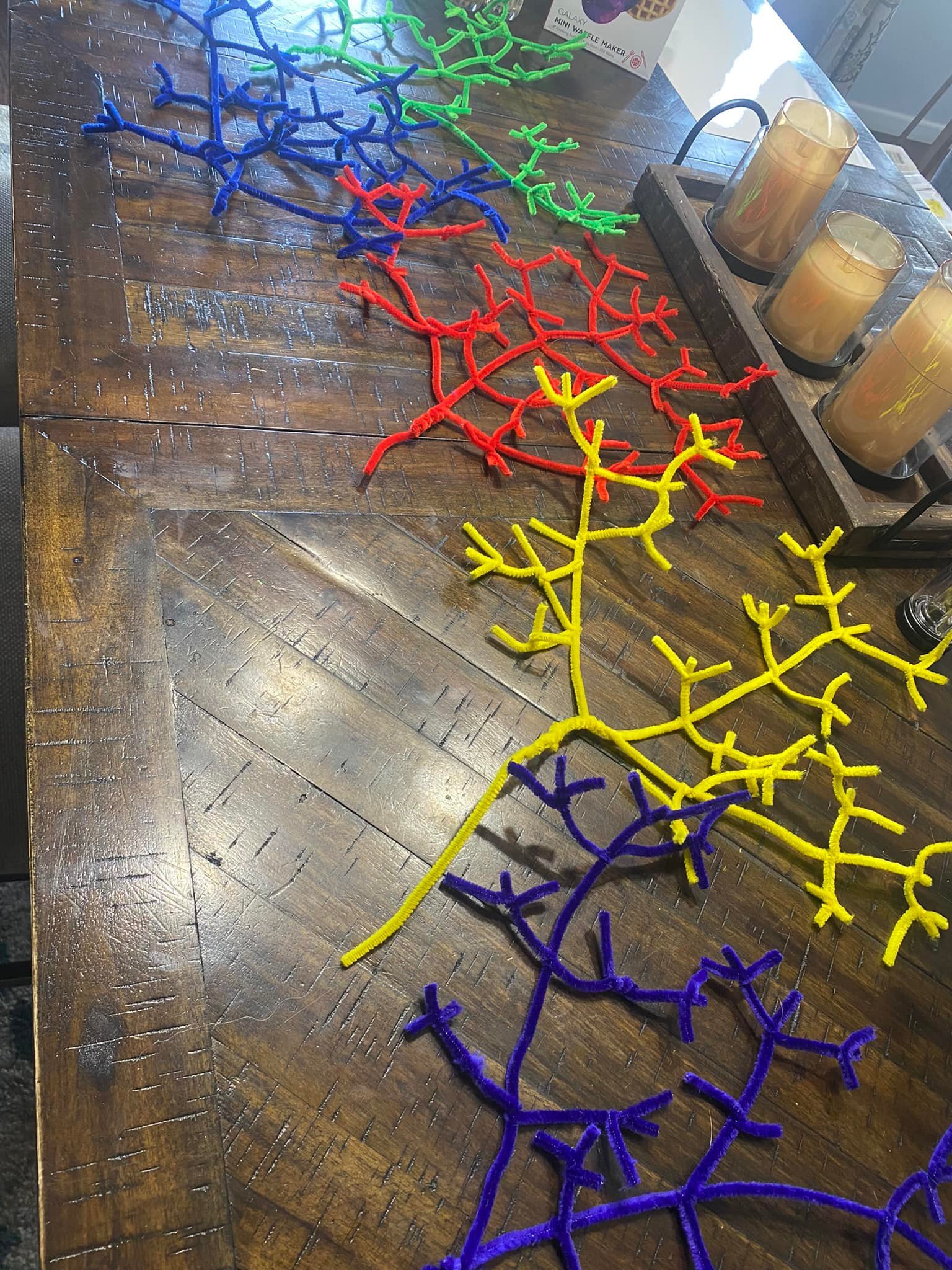 Pipe Cleaner Coral Reef