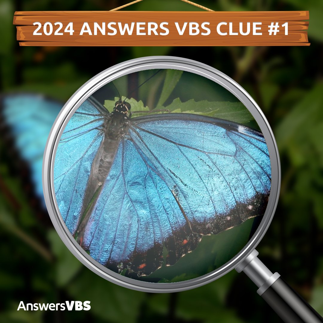 2024 VBS Clues Revealed