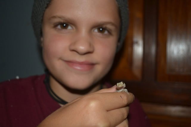 Asher Holding Gecko