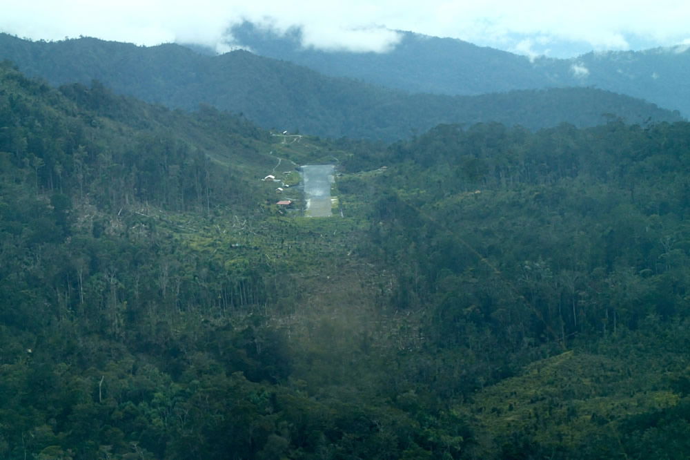 Jungle Landing Strip