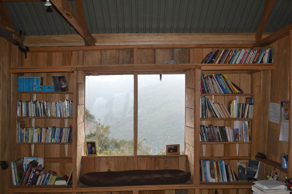 Wild Family Bookshelves