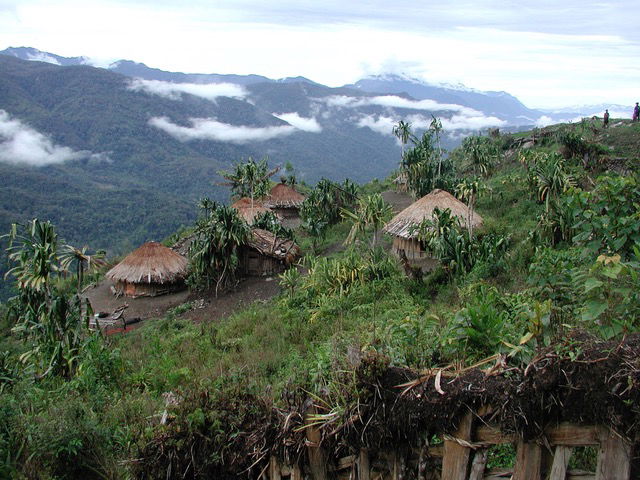 Houses in the jungle