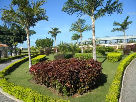 Dominican Republic grounds