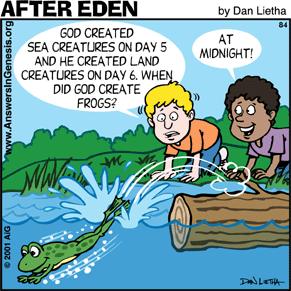 After Eden 84: God Created Frogs