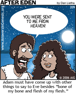 After Eden 209: The Lines of Adam