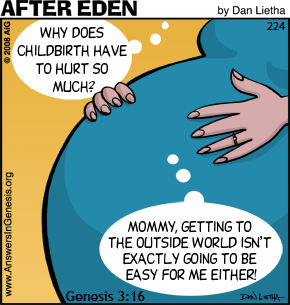 After Eden 224: Baby Thoughts