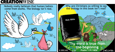 Creation Wise: The Biology Isn't Real