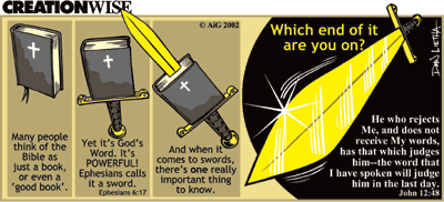 Creation Wise: The Sword
