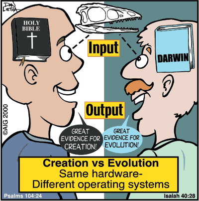 Creation Wise: Input-Ouput