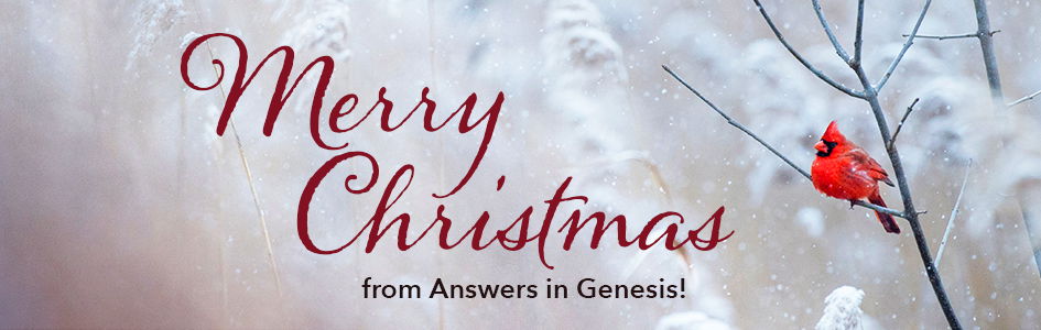 Thank you for supporting Answers in Genesis!