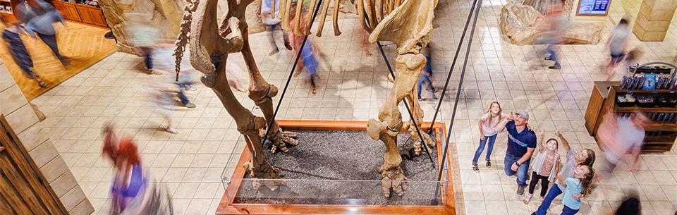 We’re Expanding Again! What’s Coming?