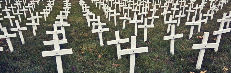 White Crosses in Grass