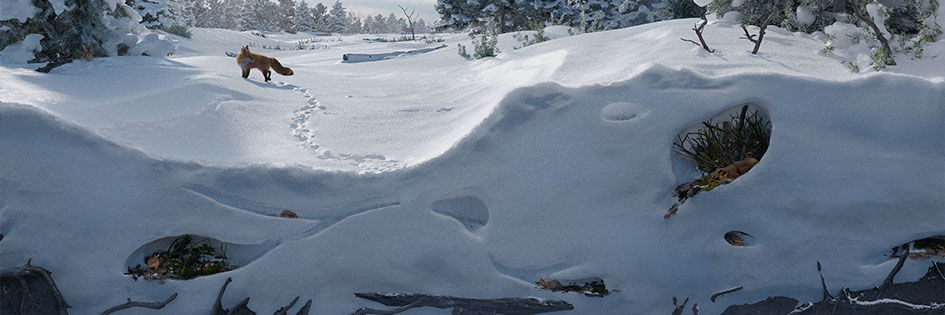 Sanctuary in the Snow