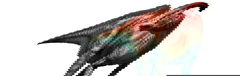 Parasaurolophus