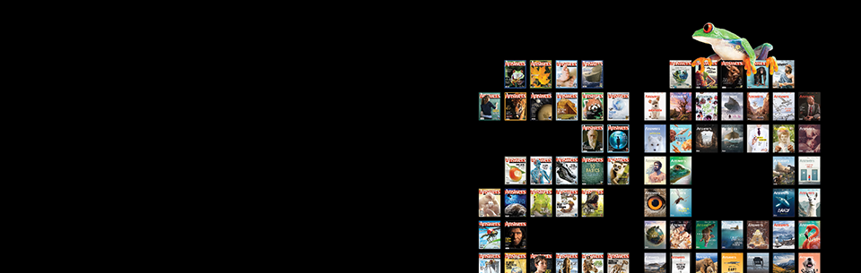 Twenty Years of Words & Wonder