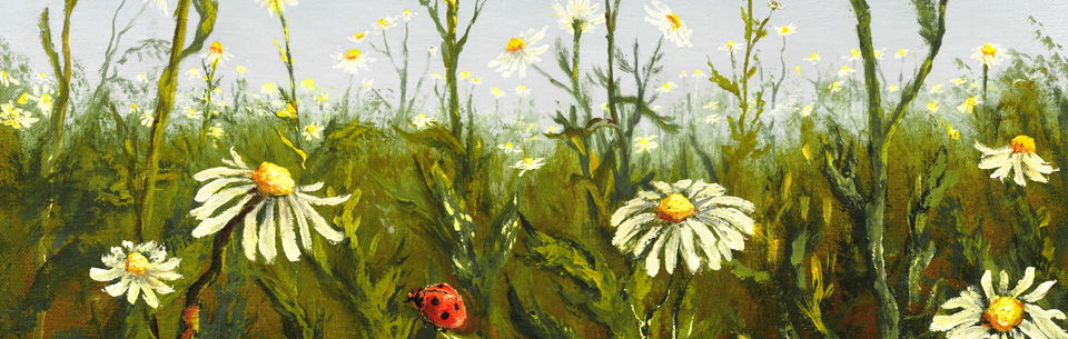 Painting of wildflowers