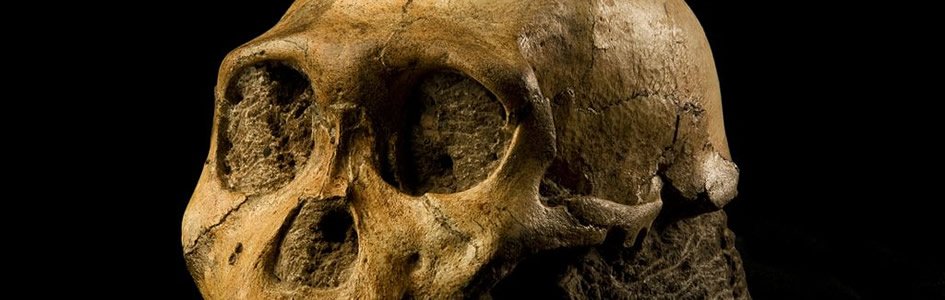 The Problem with Australopithecus sediba