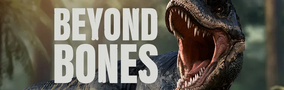 Beyond Bones