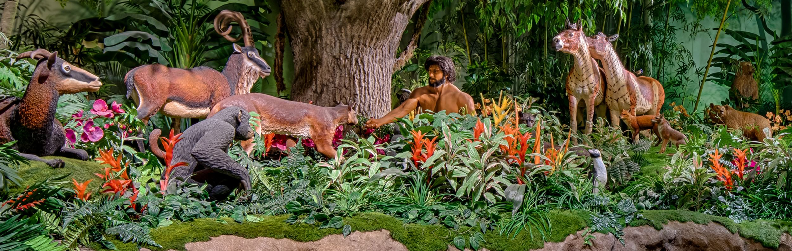 Adam naming animals in garden of Eden