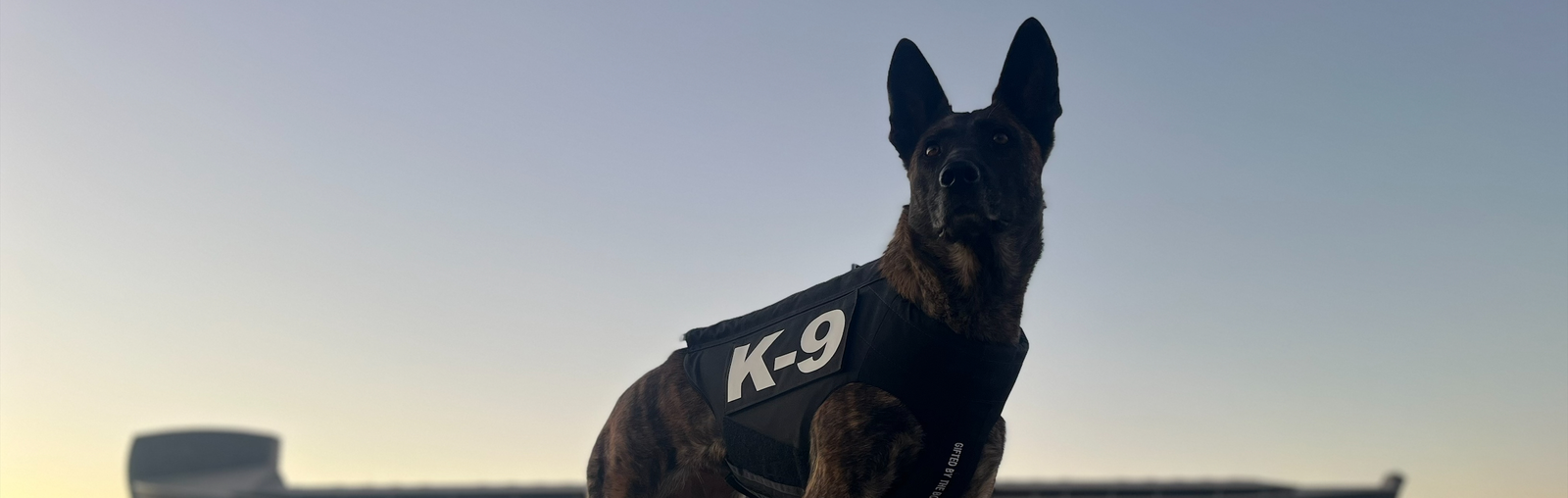 vested K9