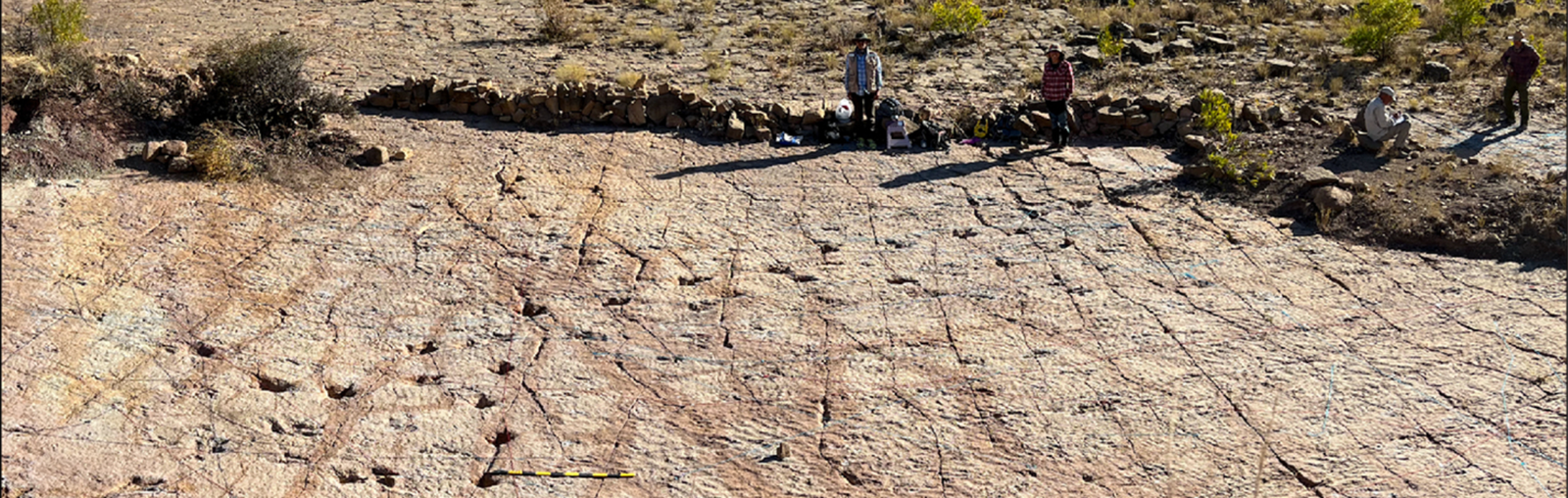 Dino Trackway in Bolivia