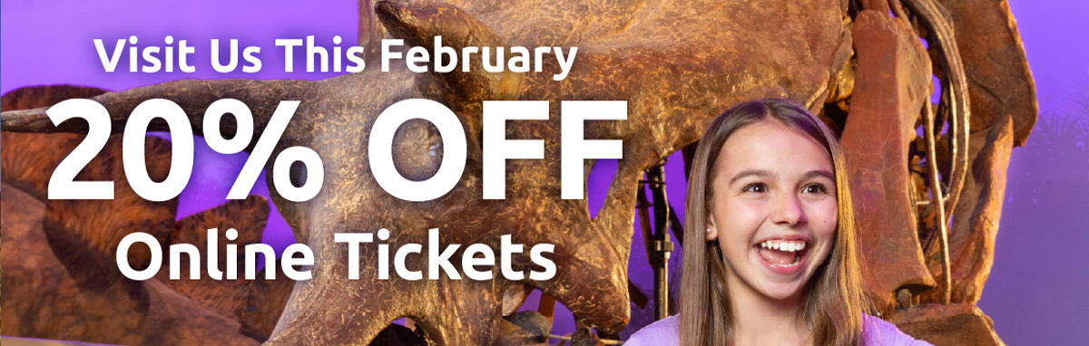 20% Off Creation Museum and Ark Encounter Admission This Month