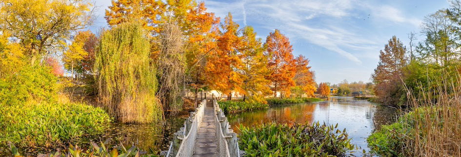 Fall trees at the Creation Museum