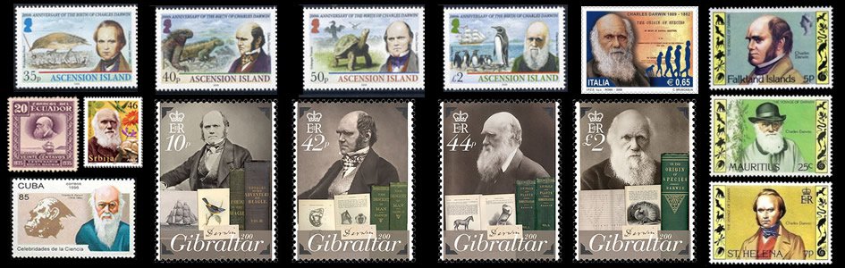 Darwin Stamps