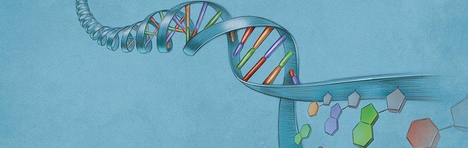 DNA—The Language of Life