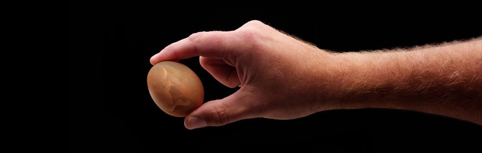 Do Humans Have Genes for Laying Eggs?