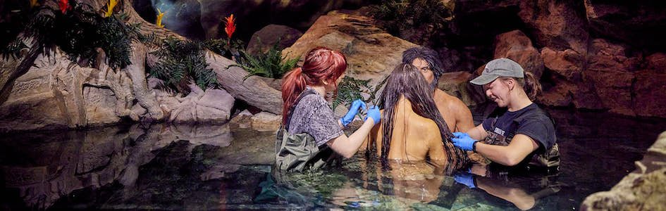 Cleaning Adam and Eve waterfall exhibit