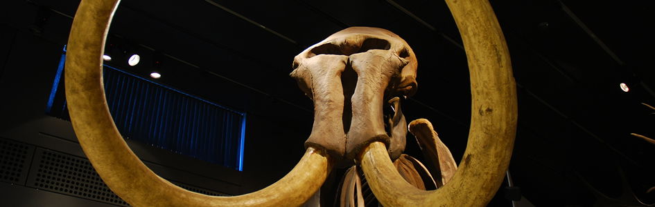 Mammoth Questions: Of Blood, Biological Antifreeze, and Clones