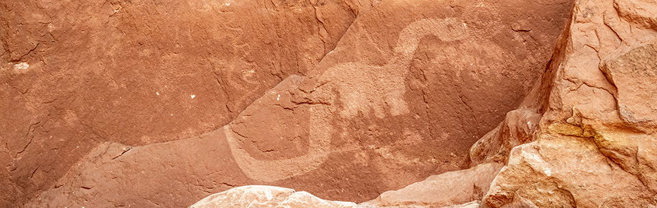 Dinosaur Petroglyph