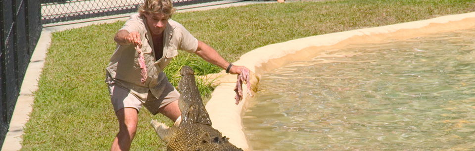 Steve Irwin