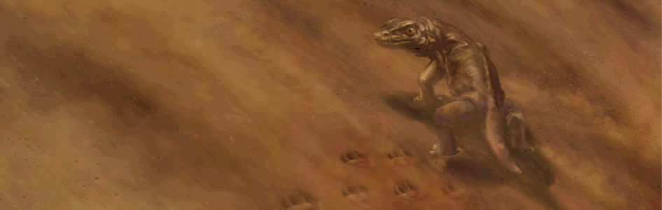 Fossil Footprints—Found Millions of Years Before the Creatures Who Made Them?