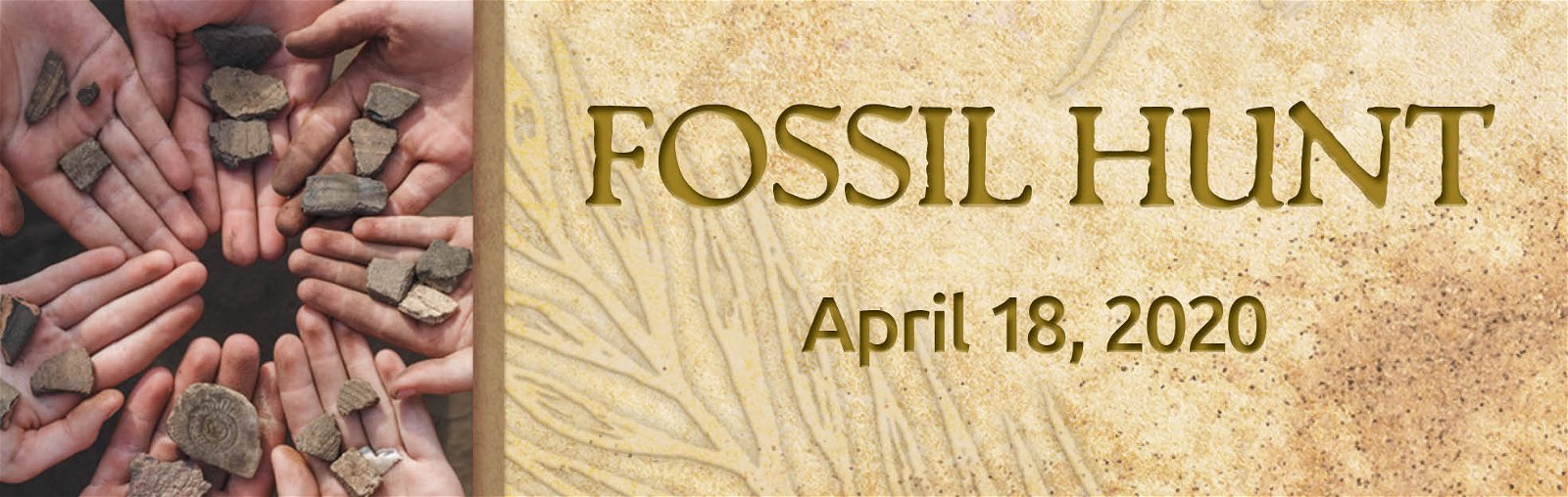 Fossil Hunt April 2020