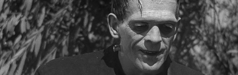 Frankenstein’s Monster As a “Transsexual Icon”?