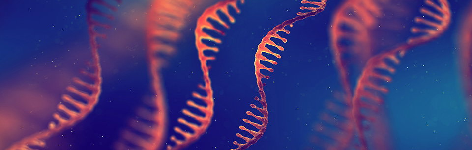 RNA