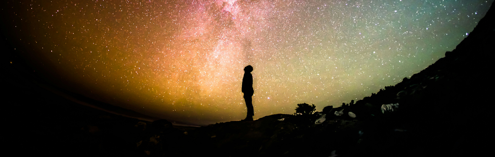 looking at the stars