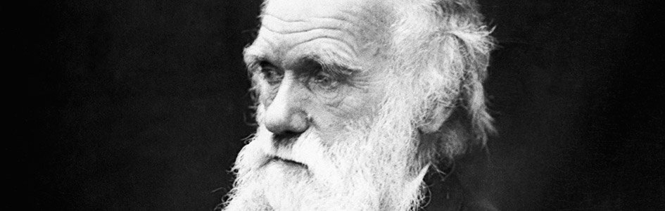 Happy Birthday, Darwin?