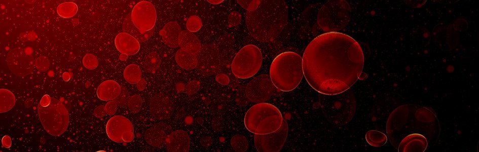 Hemoglobin: An Exquisitely Designed, Multifunctional Protein