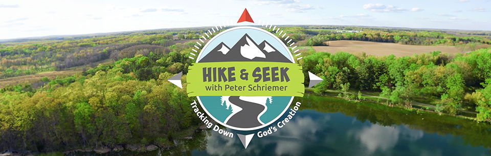 Hike & Seek