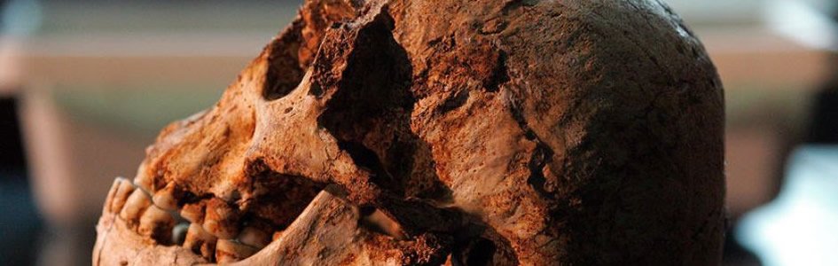 Is Homo floresiensis a Legitimate Human “Hobbit” Species?