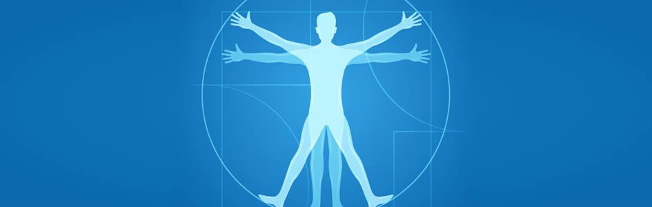 New Anatomy and Physiology Homeschool Resource from AiG Now Available