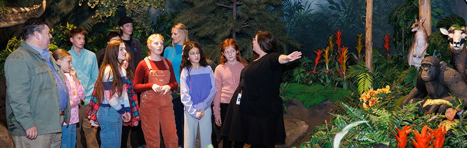 Creation Museum tour