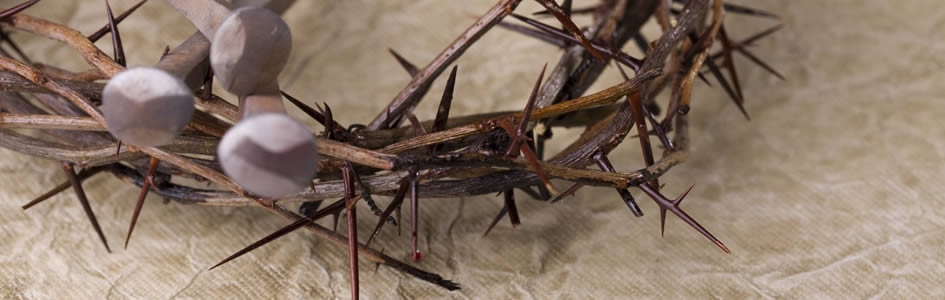 Crown of thorns