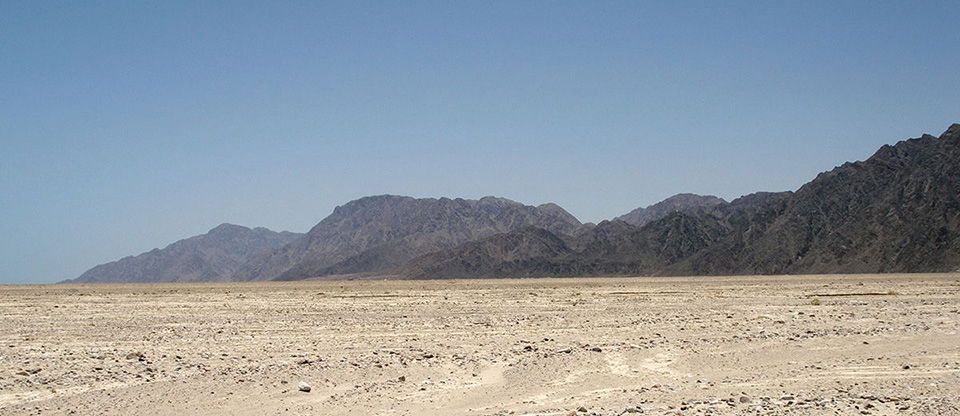 Desert Sand