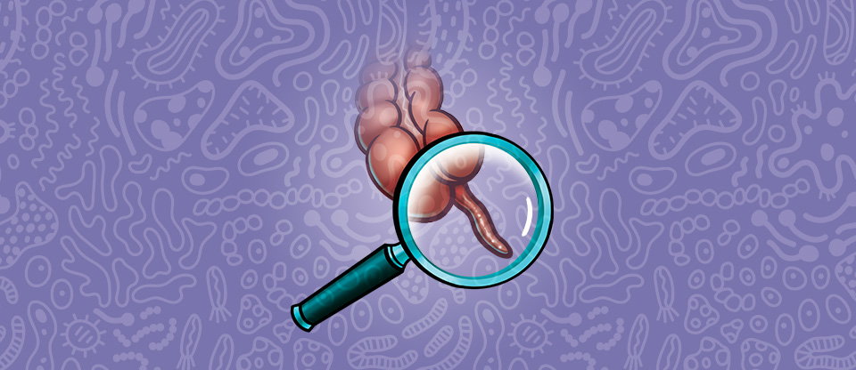 Appendix