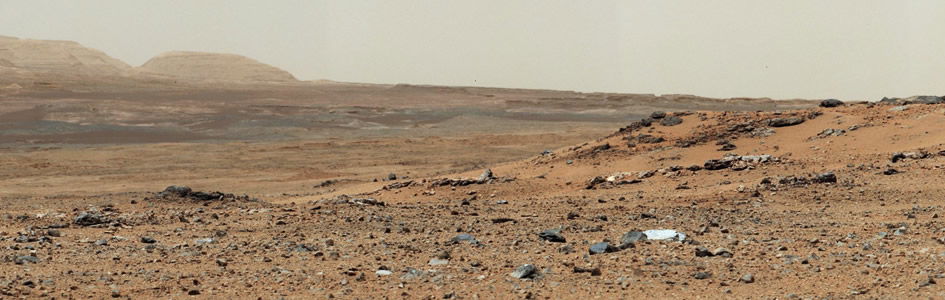 The Curious Case of Martian Mania