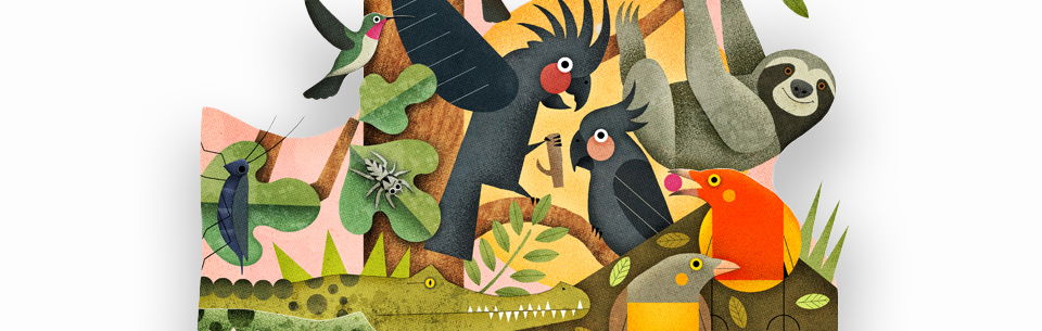 Graphic illustration of jungle animals